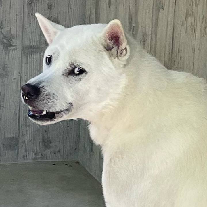 232900a4 9af0 4bdf 9d36 f13be24361d0 1715248941353