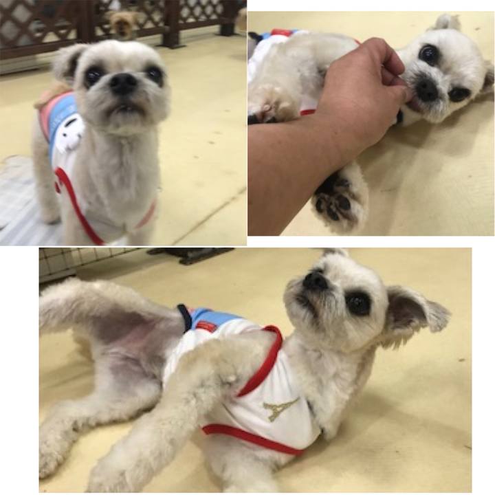 232907fd ed5a 49a0 ae19 bd5366b796fd 1528719535306