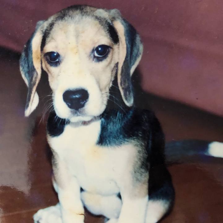 232926a5 1f5e 40a7 bfdc 7d28dd527e99 1510973782616