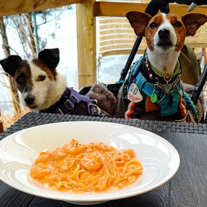 23294784 bbe2 42c7 9d33 ea8ff2b9da80 1645346683062