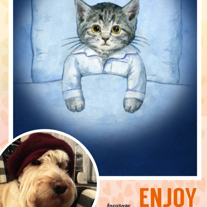 23294799 aca7 4886 ba3e e321dbbff285 1519616910720