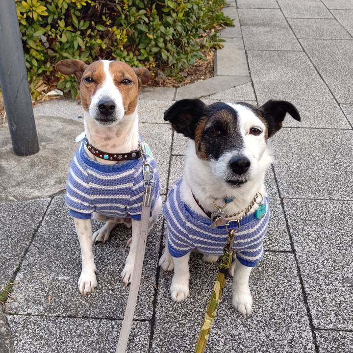 232982a5 9c3d 4014 ba13 7c51bde18d8d 1676587546346