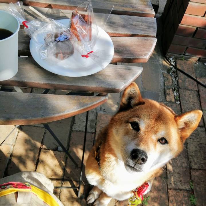 232a1329 efe3 497e 9785 85e6c5432657 1586589217124