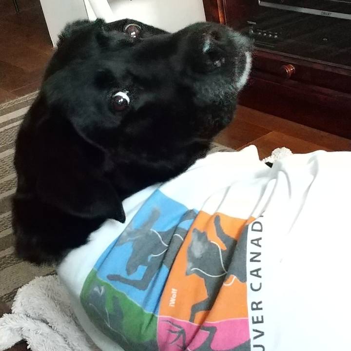 232a37b7 6bed 4f55 a41b 51ba88402141 1691806064991