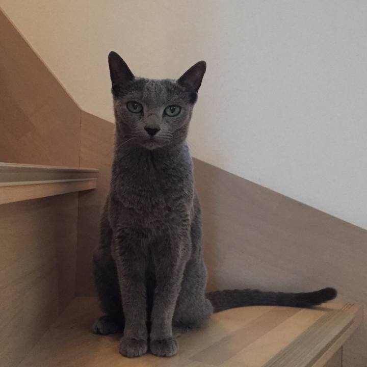 232a3cc6 8d82 4aa0 b122 47e70ac4630c 1526425265436