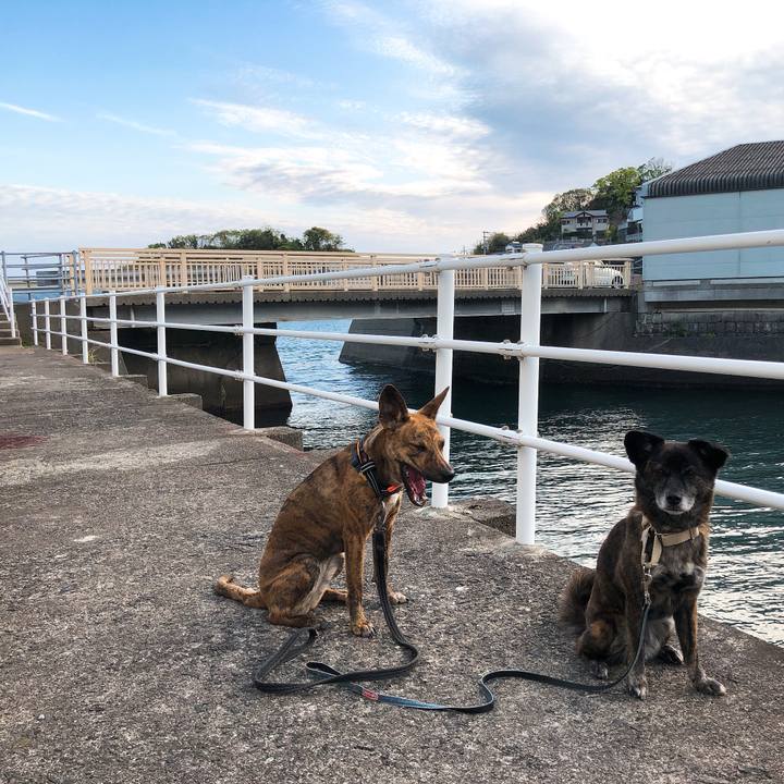 232a5877 d7a6 486e 9433 bc007f698313 1587465577269