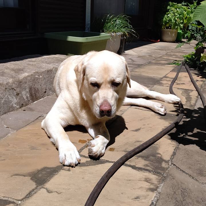 232a5e6b f7ba 4796 bcb1 2653a7954fcd 1626519223128