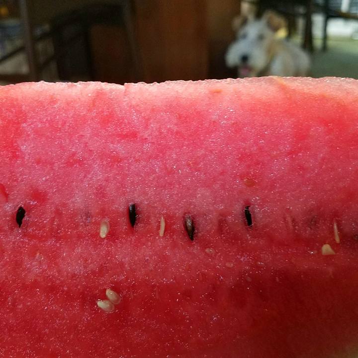 232a6b11 709d 4b2a aee6 f5a2feaa4ac7 1533117130958