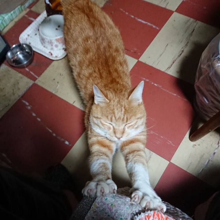 232a6bfc dc7f 44f9 82e5 2cf0d63f9062 1572377651990