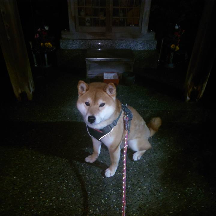 232a8edc 1b62 4073 a43c 10e1c5db39bd 1772510395309