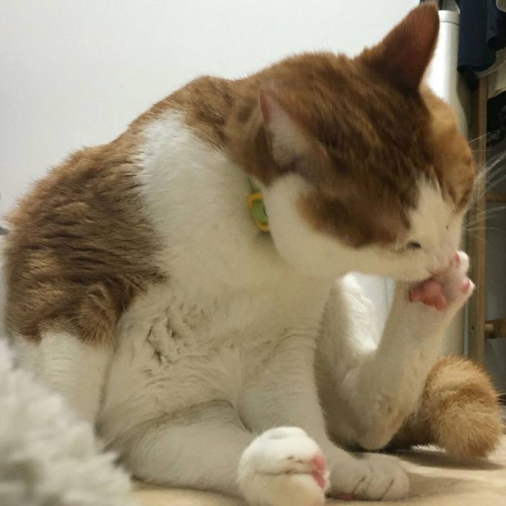 232ad036 2c39 4223 8656 50b0cd55225e 1515249632929