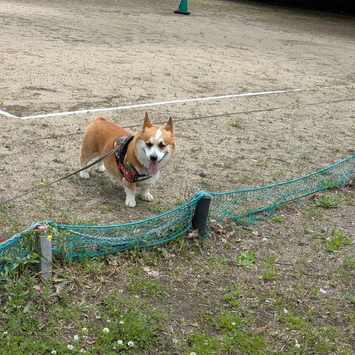 232ad48f 3f23 4b8f b36a 16a97840e7a7 1747034475267