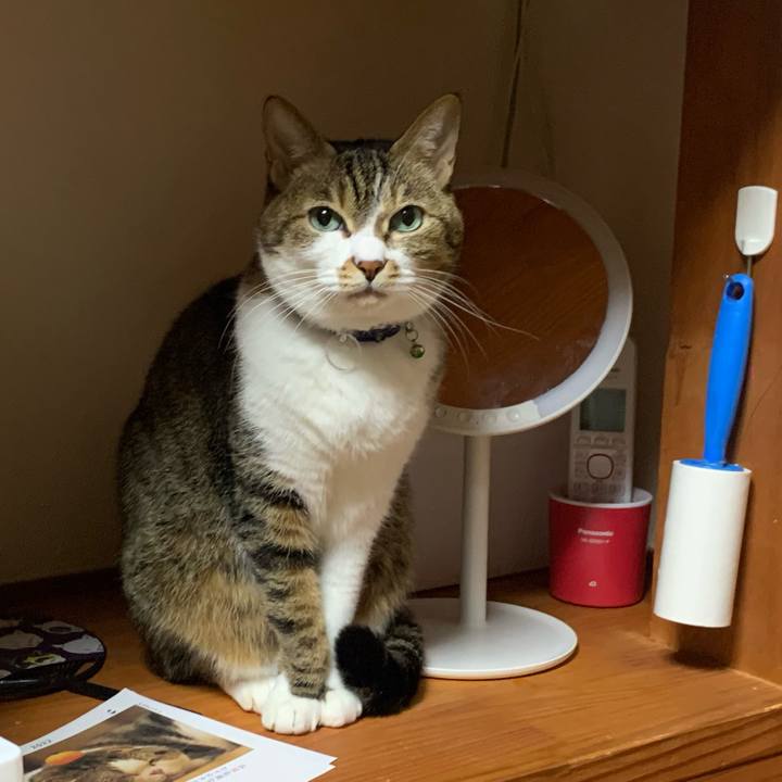 232af547 bd8a 4633 b45e 9df3da1e54f2 1641476430101