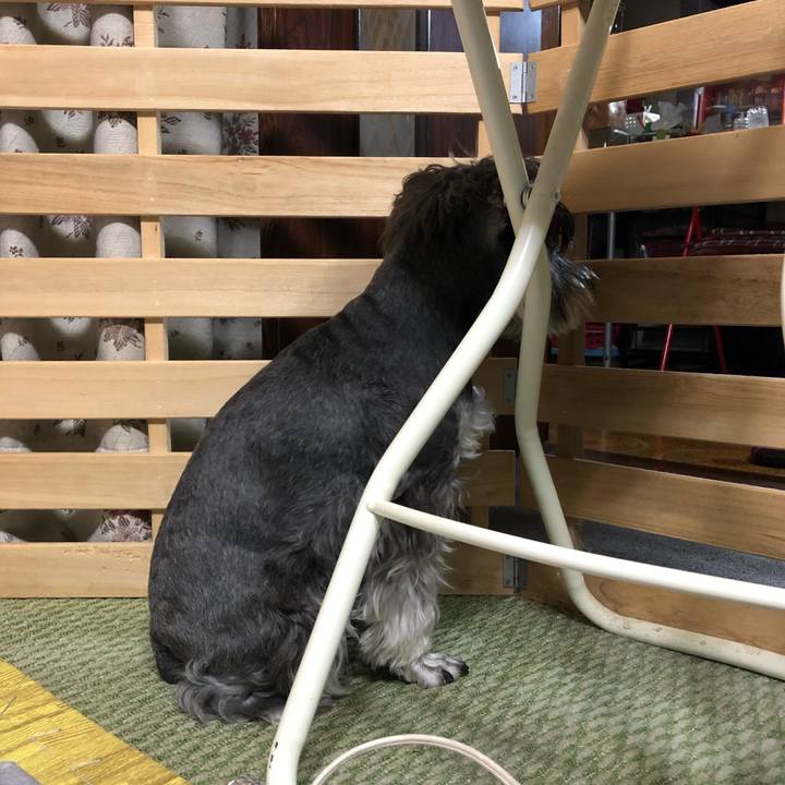 232afb0f 79b2 4fd9 9495 2e5ebfff9f8e 1615040081486