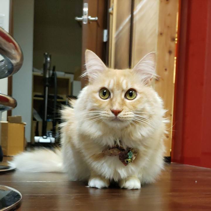 232b0702 4fec 462b 8412 64f1033cdb02 1700407213142