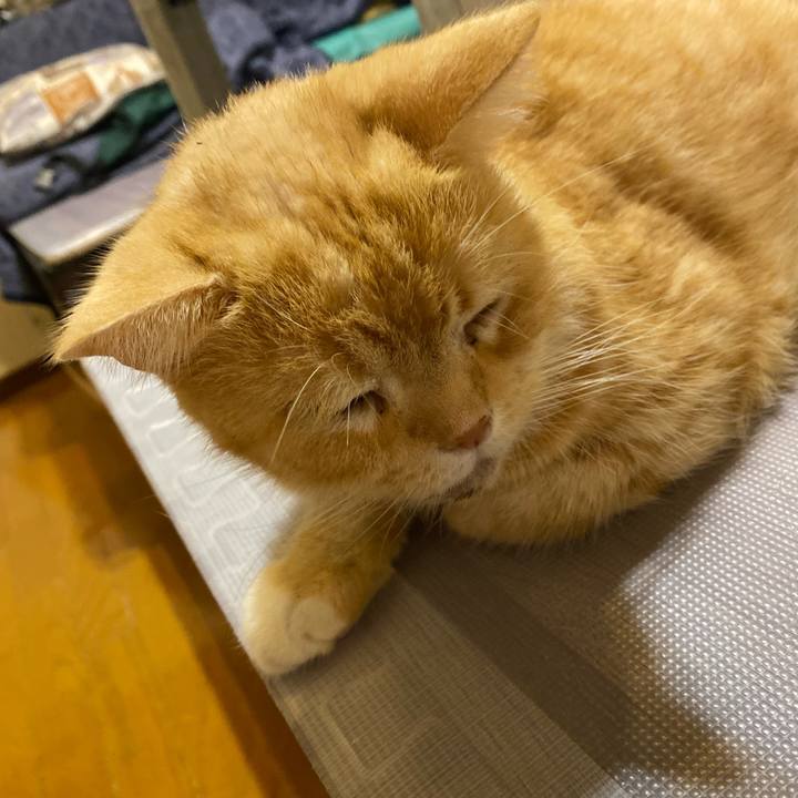 232b1caa fe69 48a3 8e08 d0a1ba842138 1631793523127