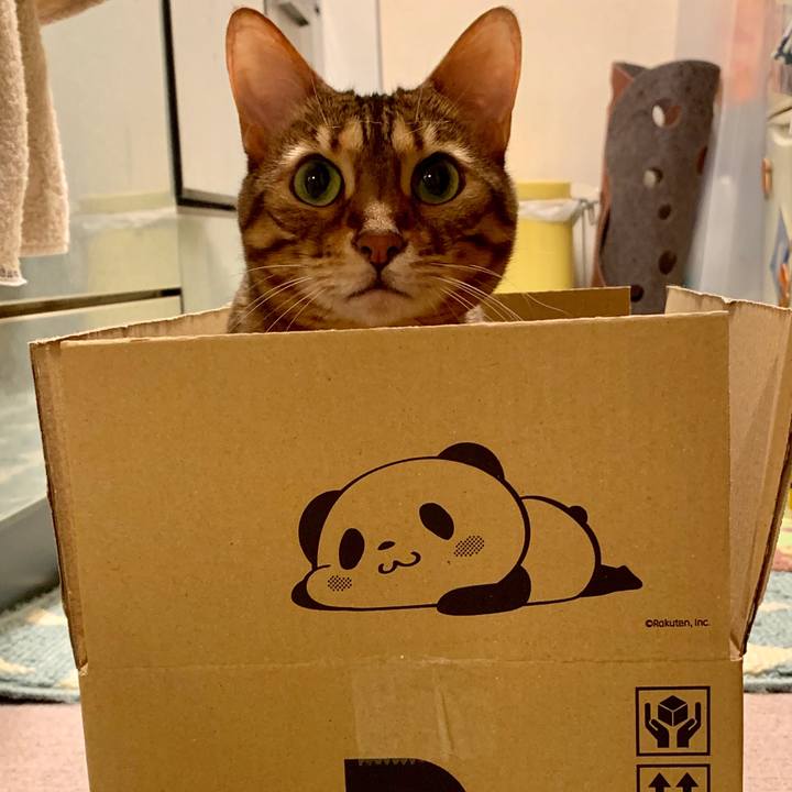 232b54b4 66a8 48f0 9212 86f7494844bb 1559085886747