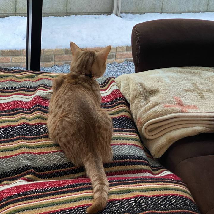 232b551f db54 4904 af1a 280ba5db3bfc 1641509819948