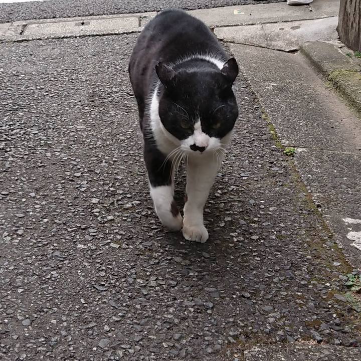 232b5676 1b4a 4320 b353 015215804c13 1677799283676