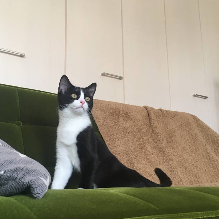 232b576a bcc6 420f 9316 fbb7c0eafa37 1529197885570