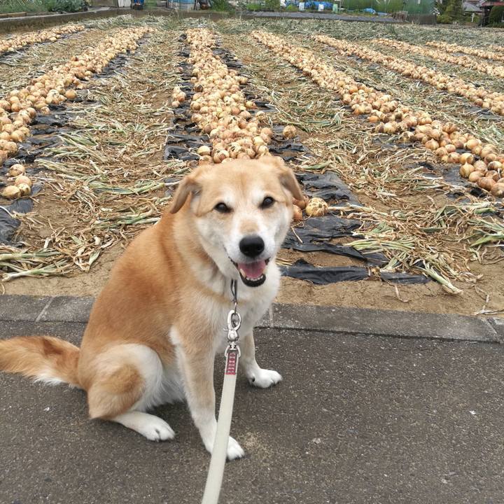 232b7c36 11ff 497a ae3d 51ae5fb362a4 1558334121451