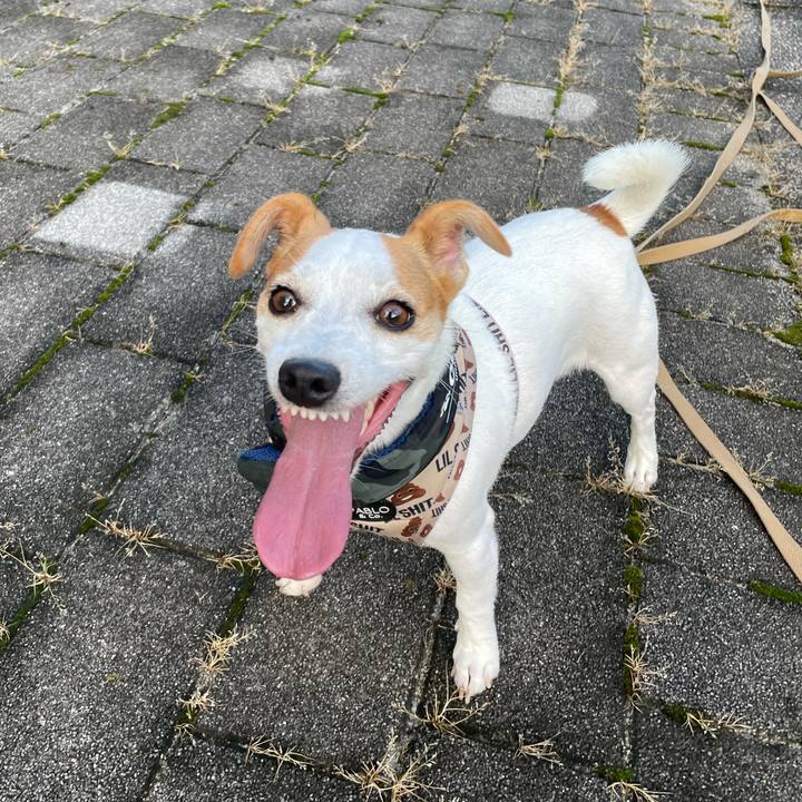 232b7cee c4ea 4563 829a c6662b545931 1629288347241