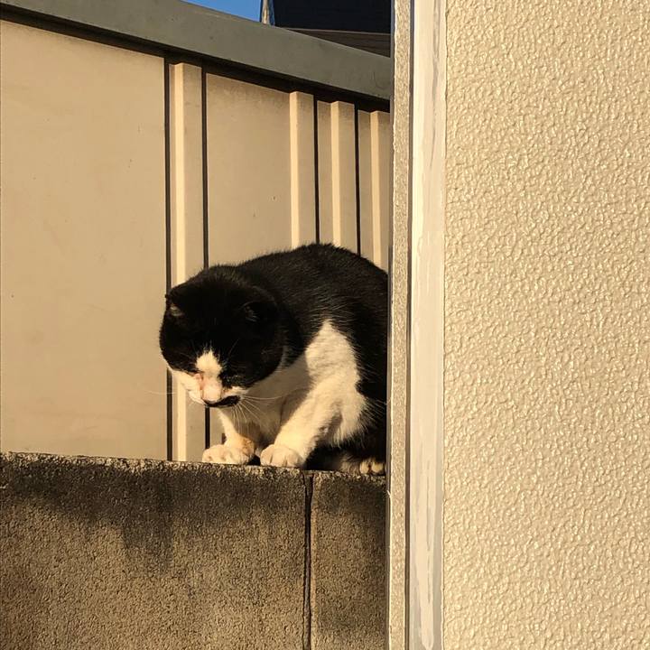 232b937d dc38 4833 825d e0db680d0b15 1545277459202