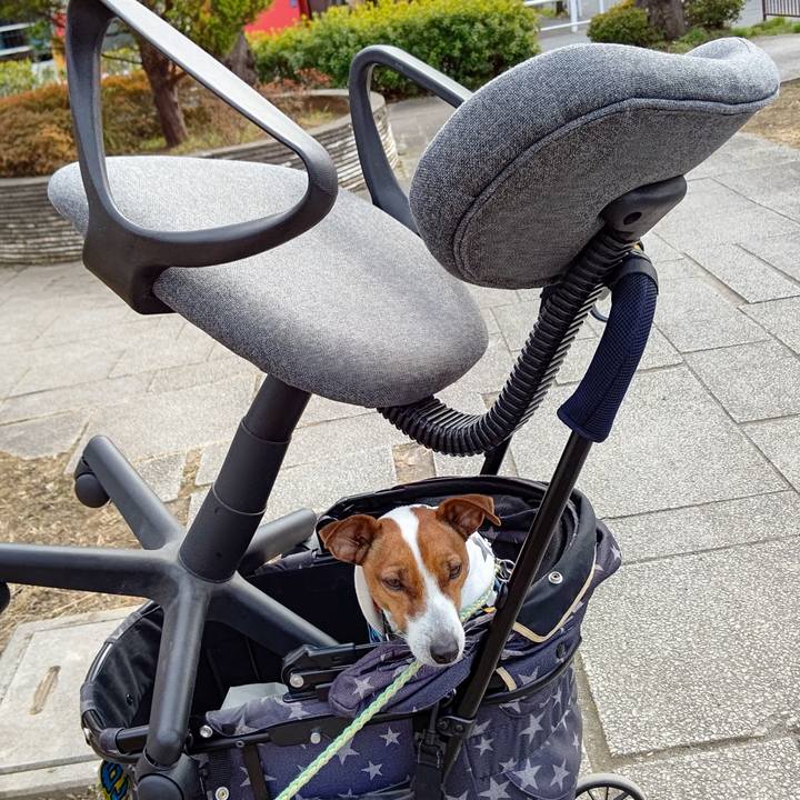 232c086a 8003 47a8 babf 1b1b29b3c642 1643449020715