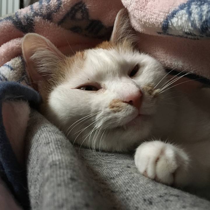 232c2217 44e5 408b 8ba7 c066099b2066 1521352376977