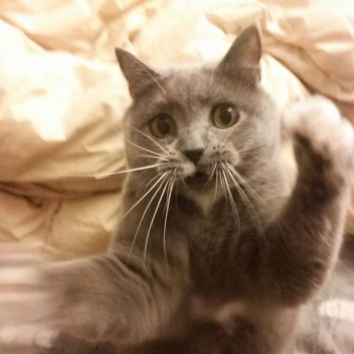 232c38e3 07c2 4c50 ba02 804d832829d7 1593610334758