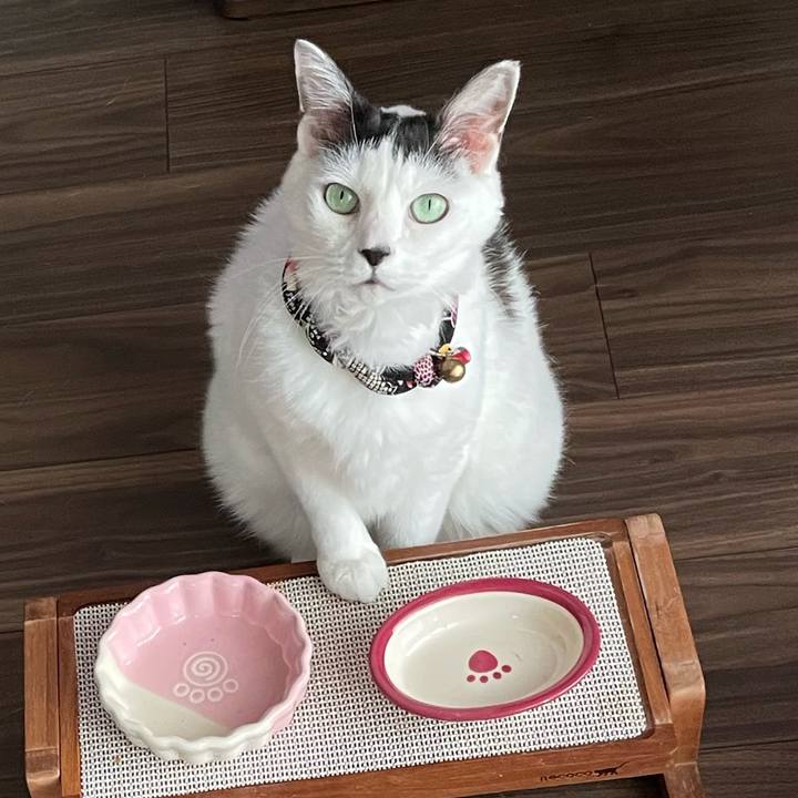 232c47c2 a5f6 4917 887a 2b8bb9fc4cb0 1692518262230