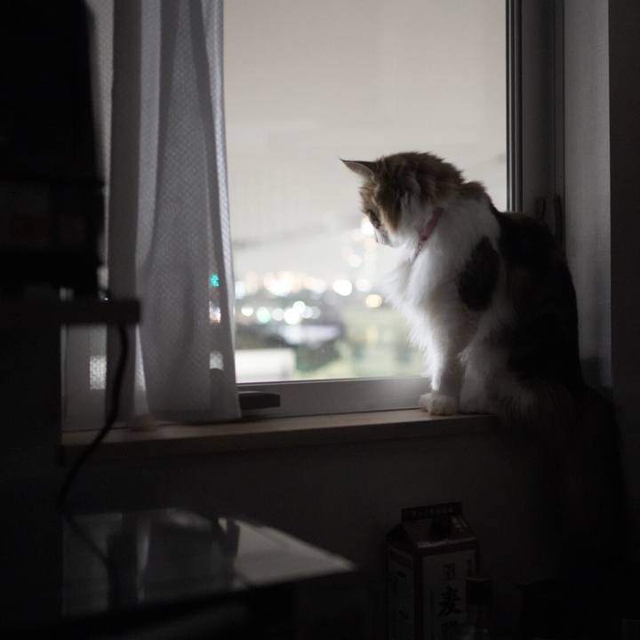 232c761b a67b 4515 9c6d 910d3882d427 1583206232911