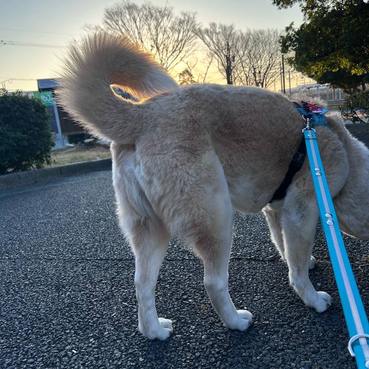 232ccb6b 79a8 4e57 b827 cbdfd21088e2 1771063525444