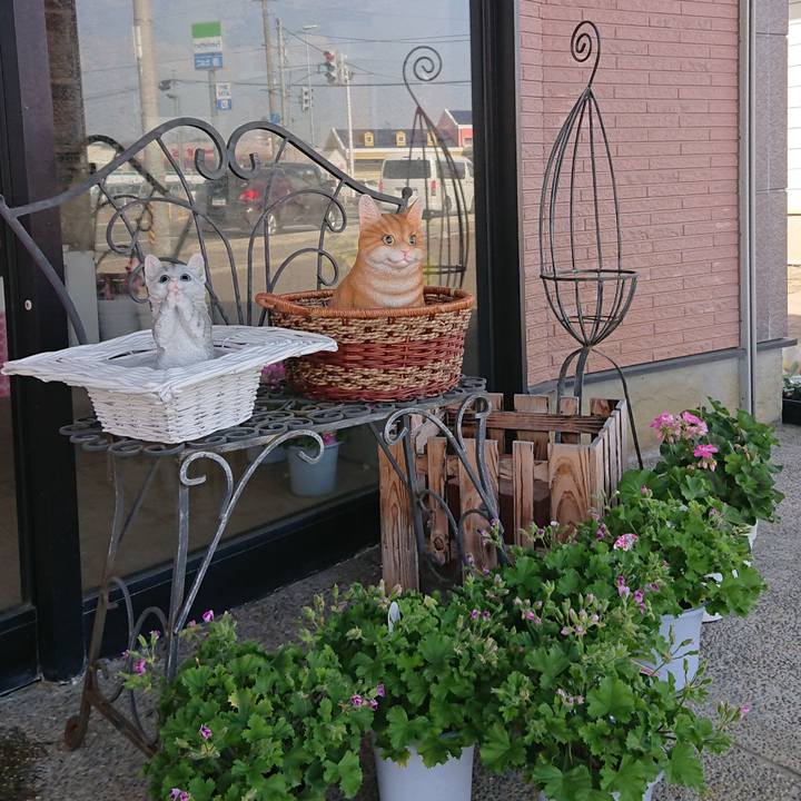 232cced7 6819 4d6e b8f9 62a747c7200c 1617170452305