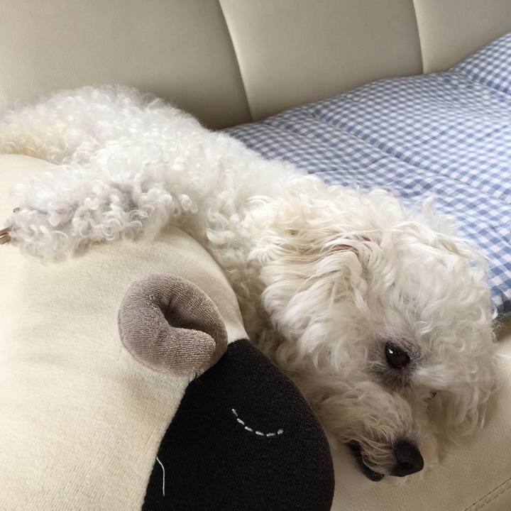 232cdd45 3664 459e b715 e9564300b986 1536724623943