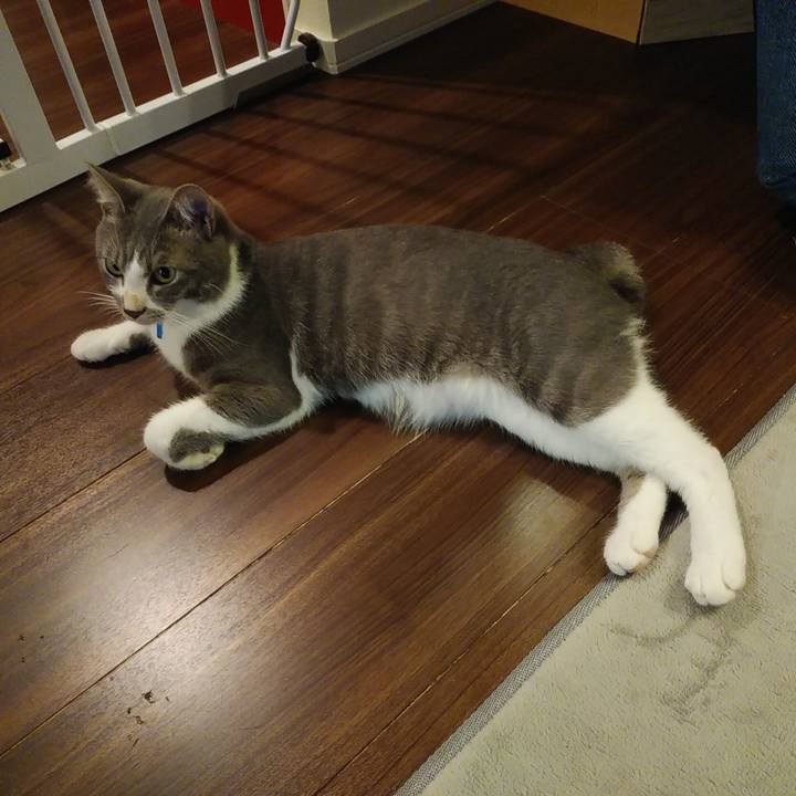 232ce1e4 74b3 41c8 88e5 3a6a8dcd91e4 1595166091002