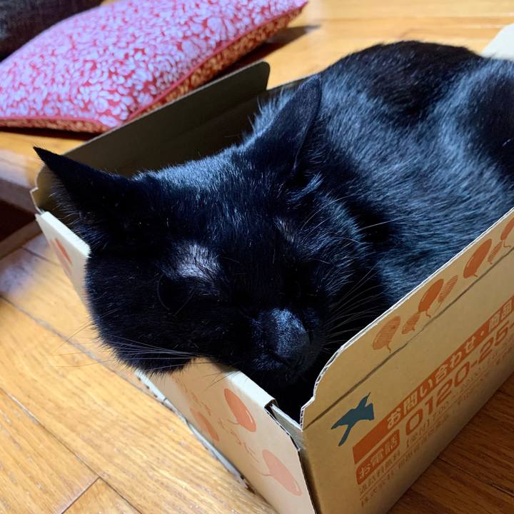 232ce56d e4c7 4c6d 93f7 9ee6dac8270b 1602501949219