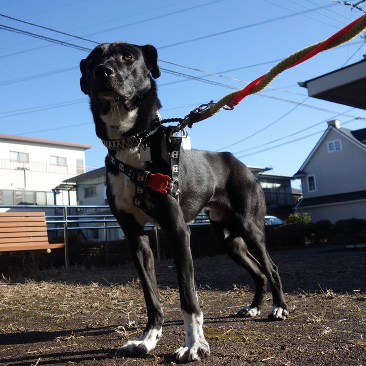 232cfaf2 a846 4acf bdcd 1a61dc801c67 1769732208987