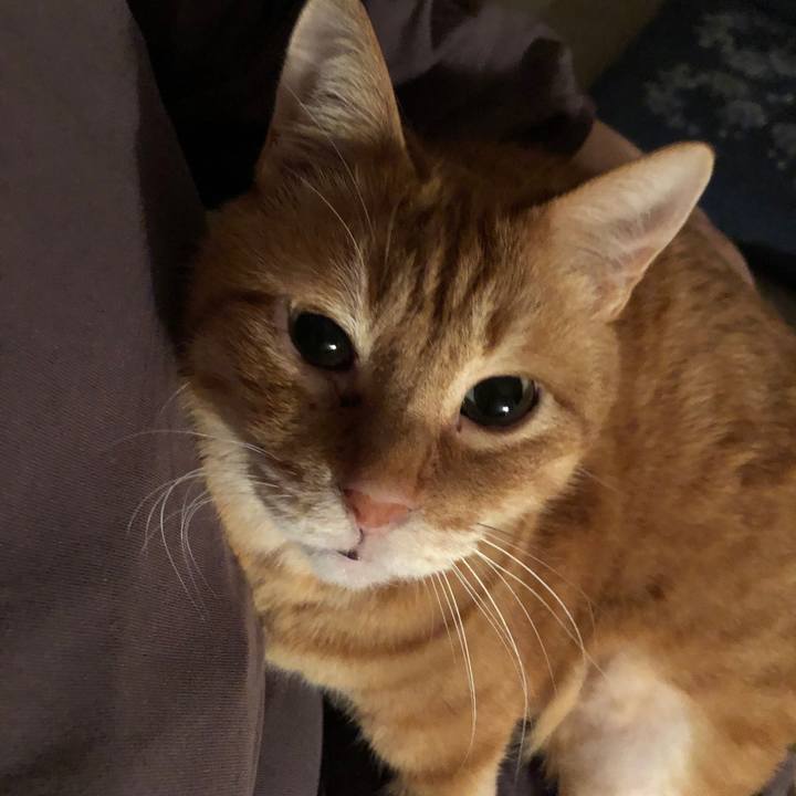 232d3bf3 556d 4a96 a3fd f0f64e0ef251 1680523389643