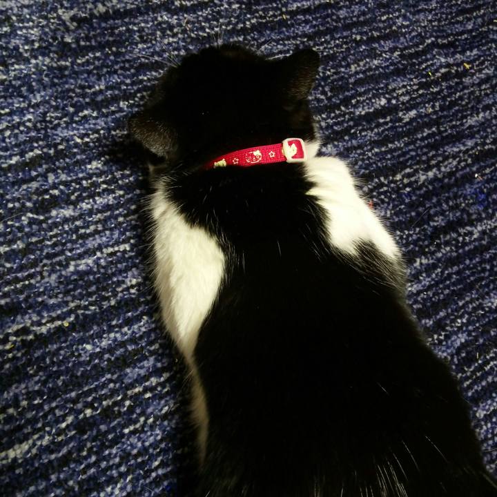 232d3cc1 aa3a 4b0a a8d2 f10130b66cd7 1524398766170