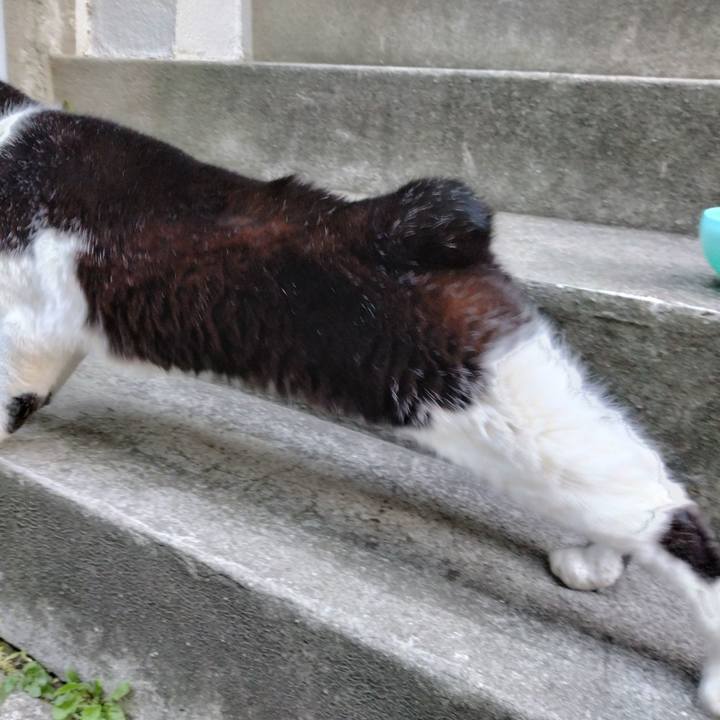 232dabcb d131 407d 983a ad6ae68f1e7e 1706787836950