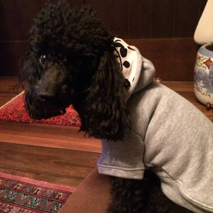 232dba81 d24d 4697 9f02 e9fe0aec88b2 1541832656648