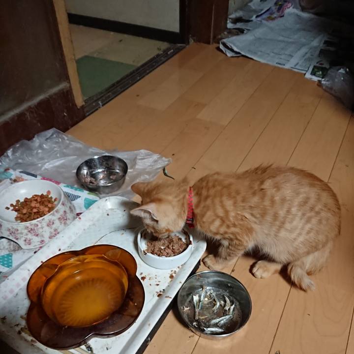 232dd0a0 ee2b 42ce a549 0ef9c35a2ad6 1632947921155