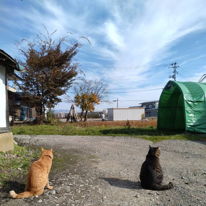 232df5c8 46b4 4959 b701 8cf68737d126 1668051995752