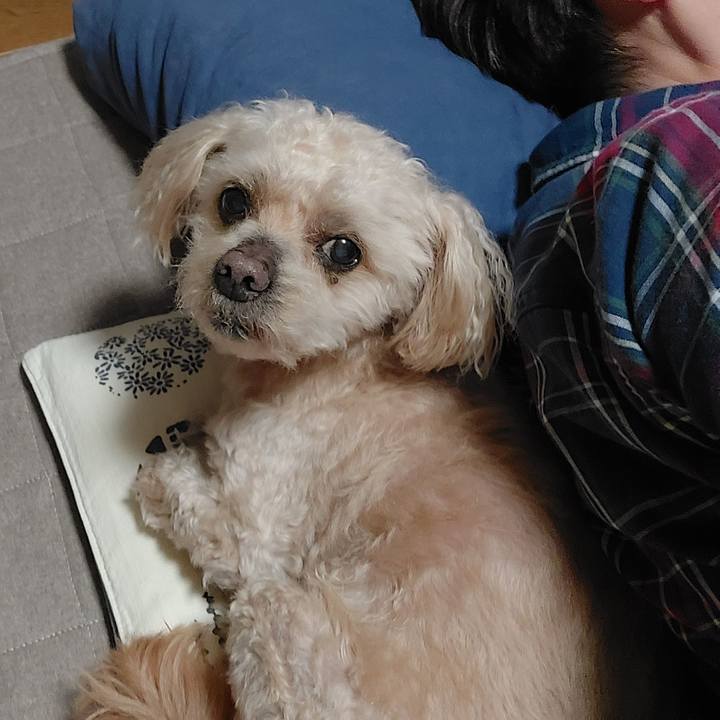 232e254d b4ea 4683 8aa0 79dde49ca86e 1747443198647