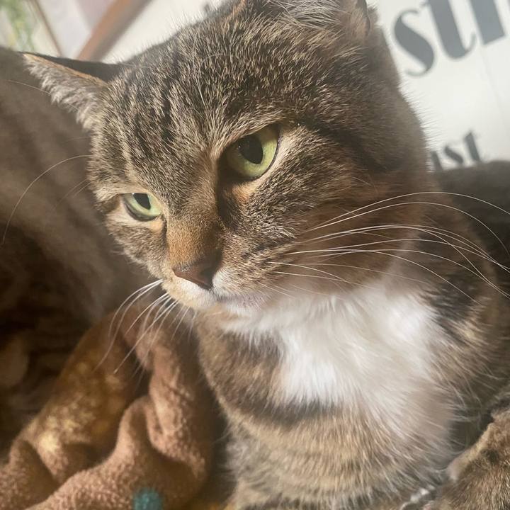 232e5b57 1f4a 4a5e a43d 1f72ee6844ff 1652061204886