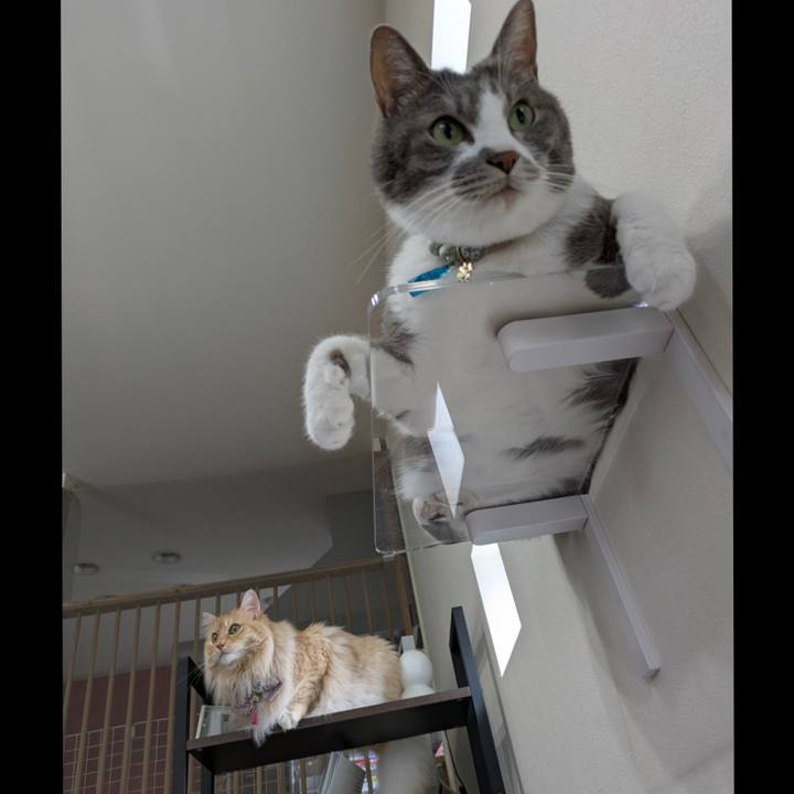 232e5c70 eb43 4270 801c 47d733646d61 1753584160249