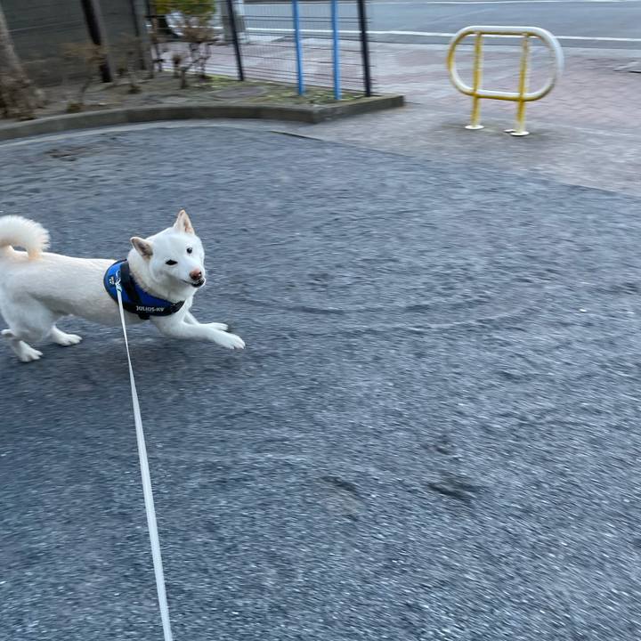 232e81d1 2dd9 4a3c 9b01 ea7ce2846837 1640563825298