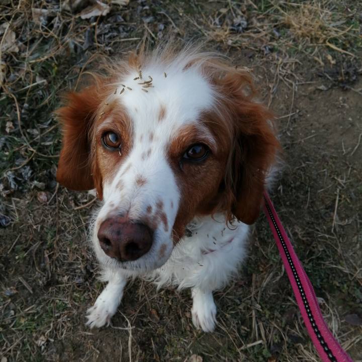 232e88a9 1a77 4603 9e50 96da62b958d4 1610151708611