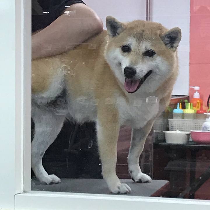 232ebd23 c995 4dff a08f bb6977354aec 1547039197133